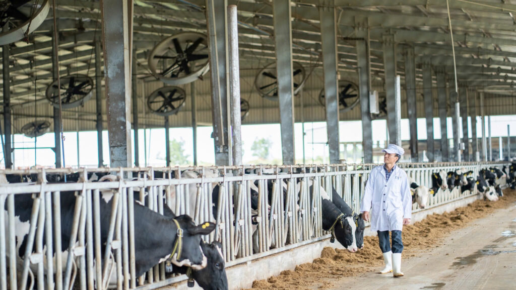 z7586272224361_89cb1b10dcb69eec7e97e261e4c4a84a