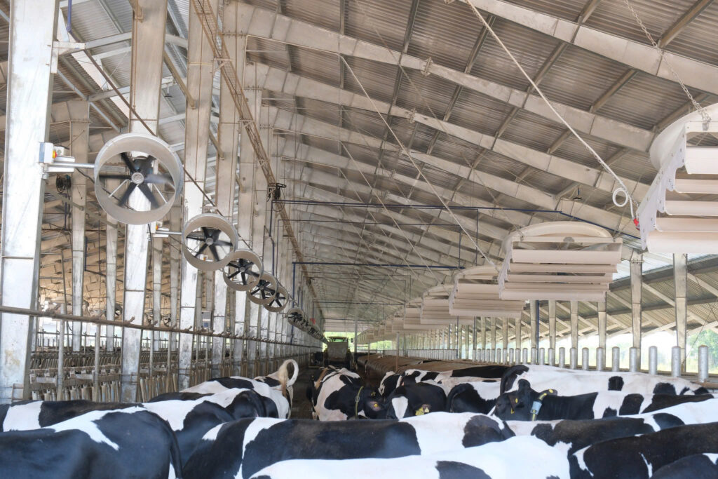 z7586272242234_f3b808beb0e8403e17773e6158b07024